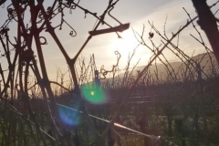 IMG-20191210-WA0004